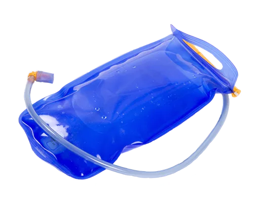 bladder