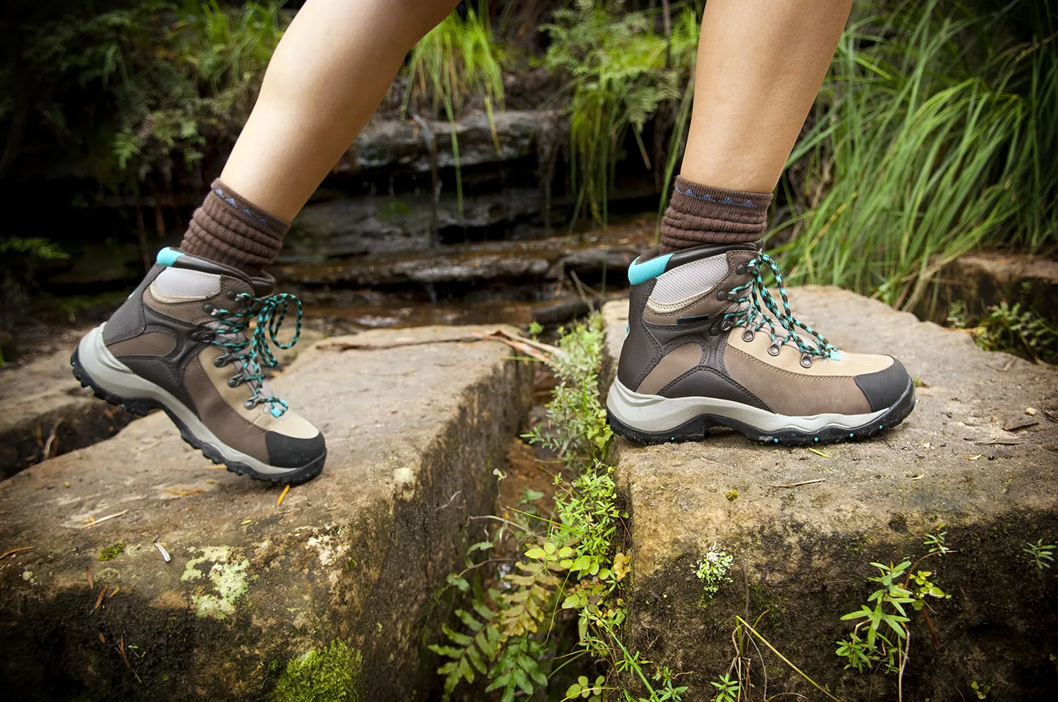 Bushwalking 101