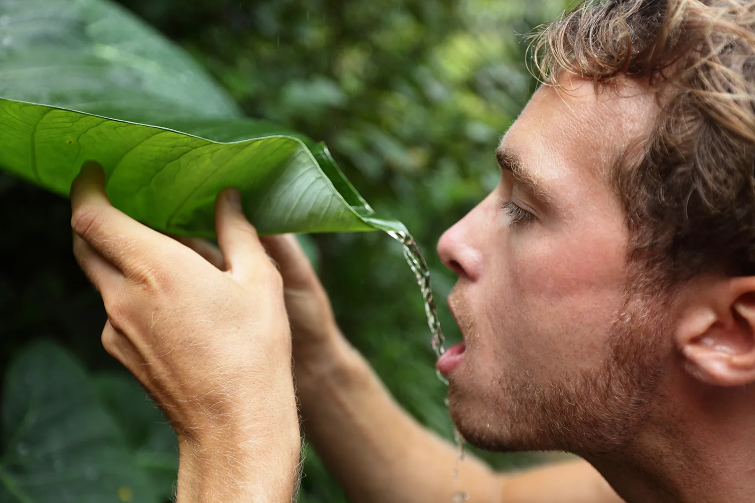 Water Collection