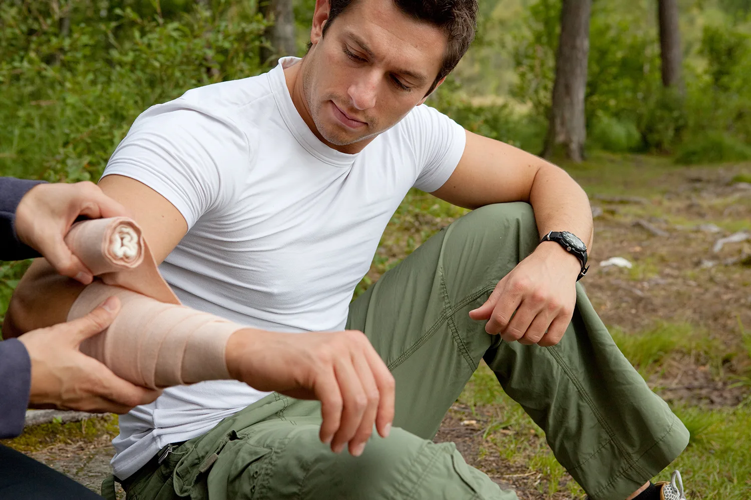 Bites and Stings First Aid