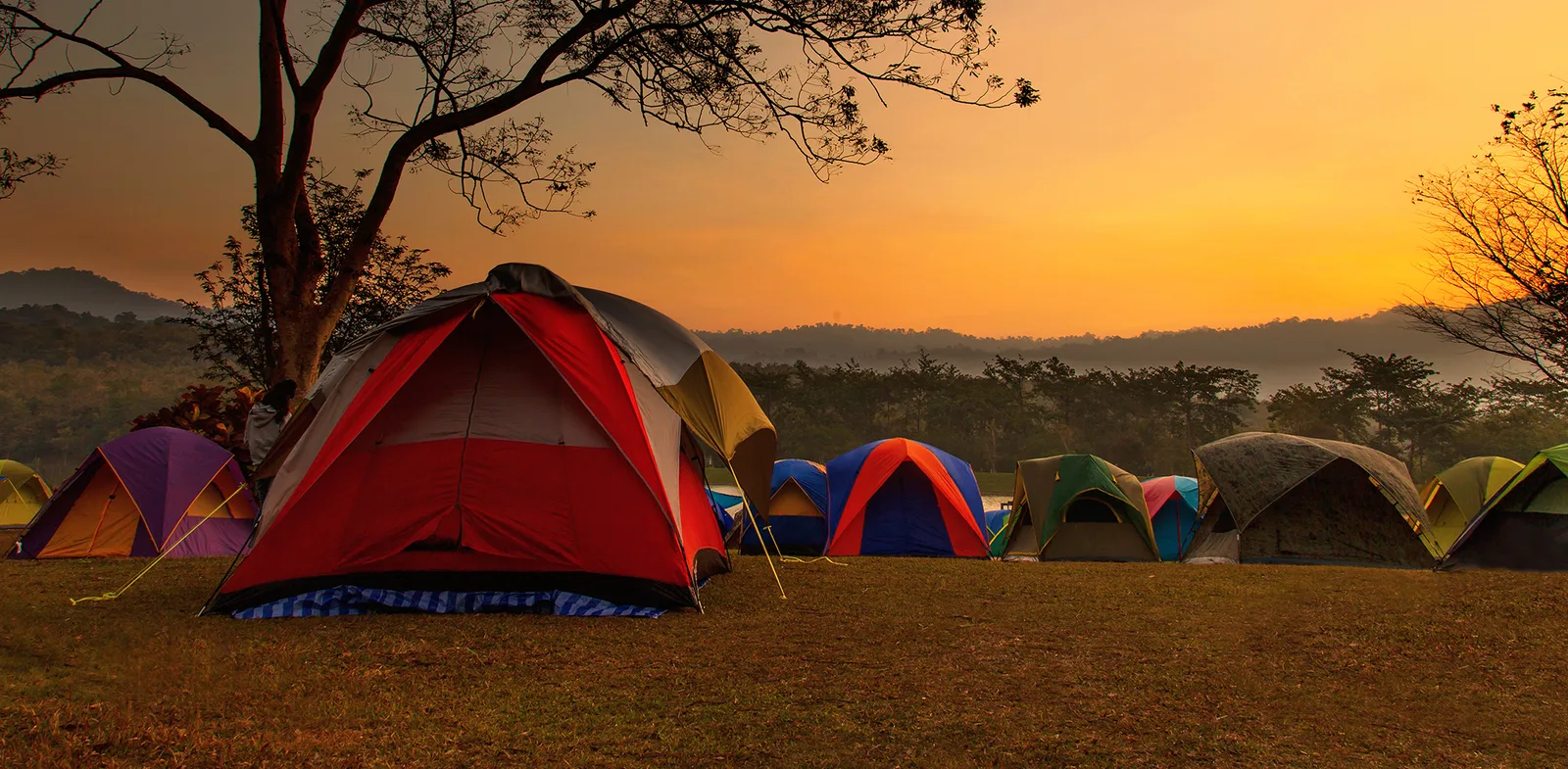 Tents & tarps