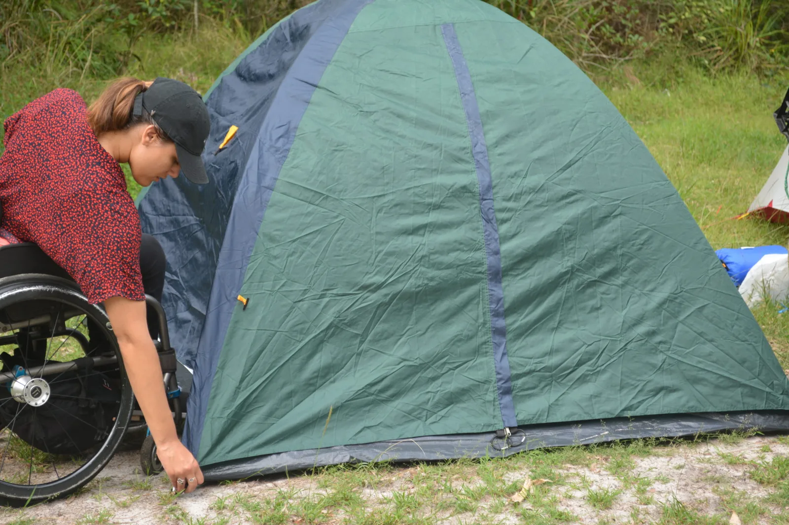 Bushwalking 101